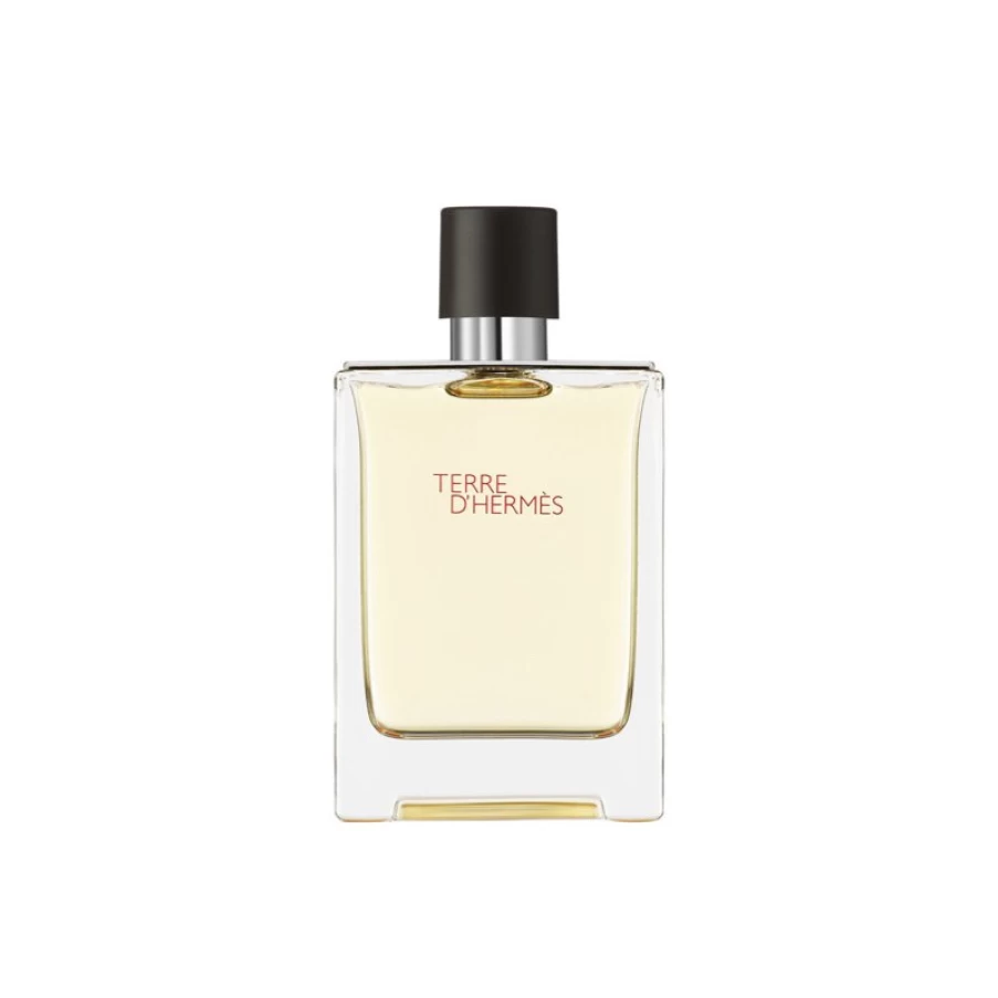 Hermes Terre D'Hermes Eau de Toilette 100ml for Men - Luxury Citrus Fragrance