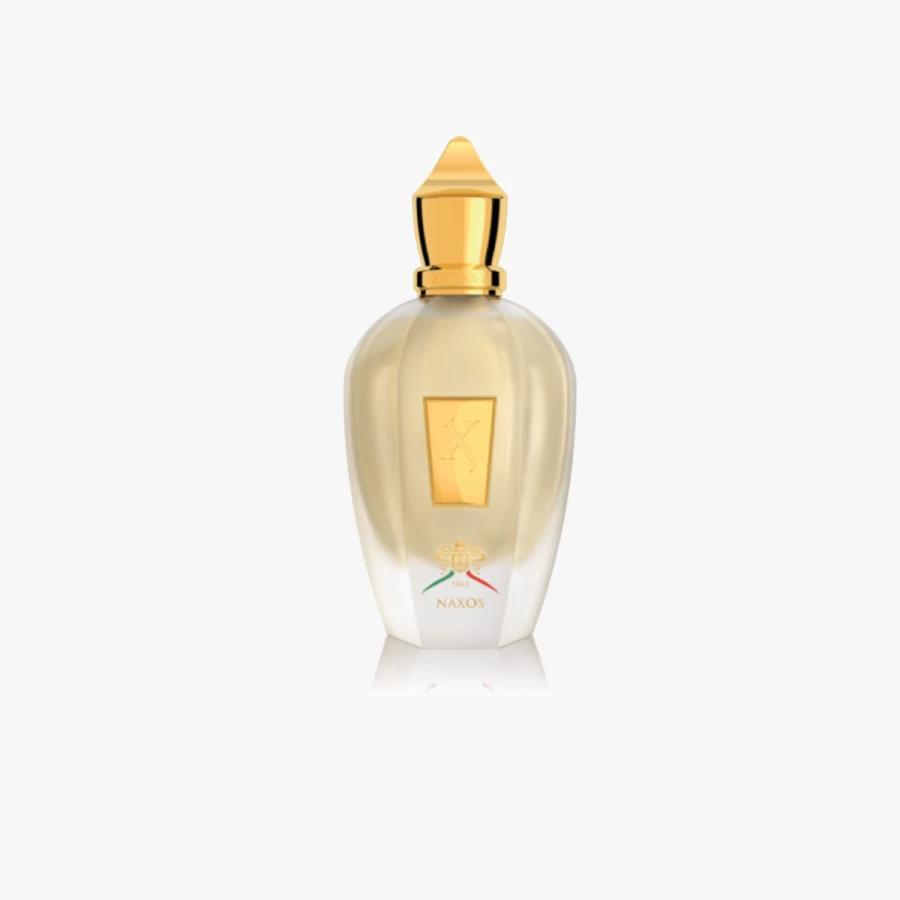 Xerjoff Naxos EDP 100ml Luxury Perfume for Men & Women - Duty-Free Travel Exclusive